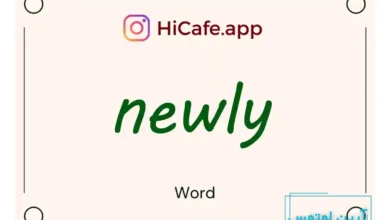 Meaning and usage of newly word