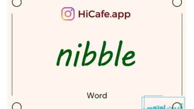 Meaning and usage of nibble word