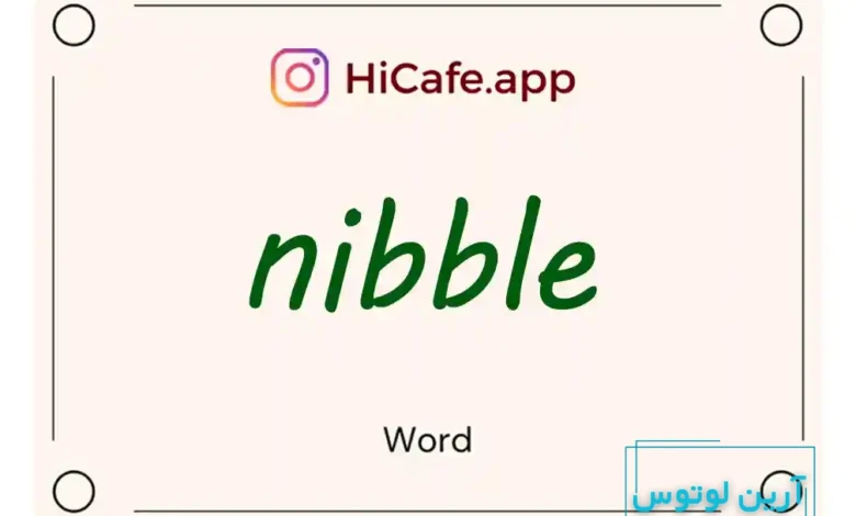 Meaning and usage of nibble word