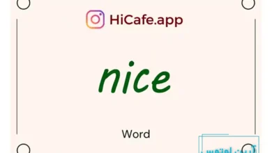 Meaning and usage of nice word