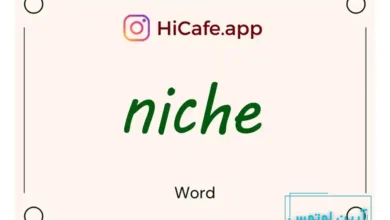 Meaning and usage of niche word