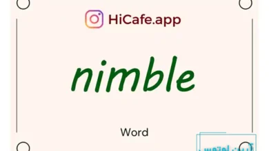 Meaning and usage of nimble word