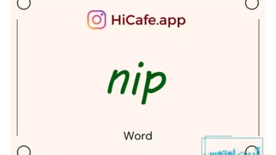 Meaning and usage of nip word