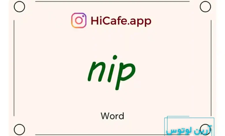 Meaning and usage of nip word