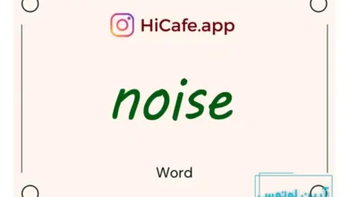 Meaning and usage of noise word