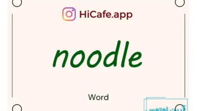 Meaning and usage of noodle word