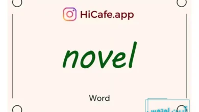 Meaning and usage of novel word