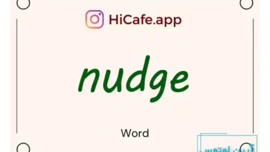 Meaning and usage of nudge word