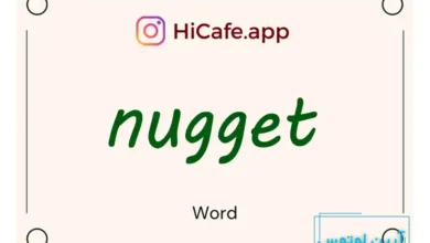Meaning and usage of nugget word