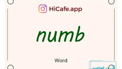 Meaning and usage of numb word