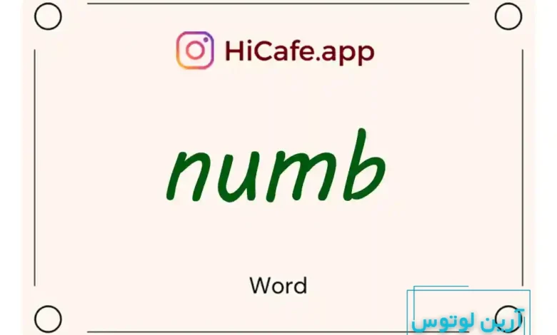 Meaning and usage of numb word