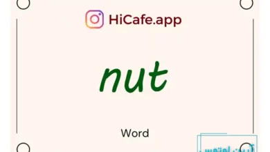 Meaning and usage of nut word