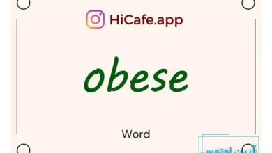 Meaning and usage of obese word