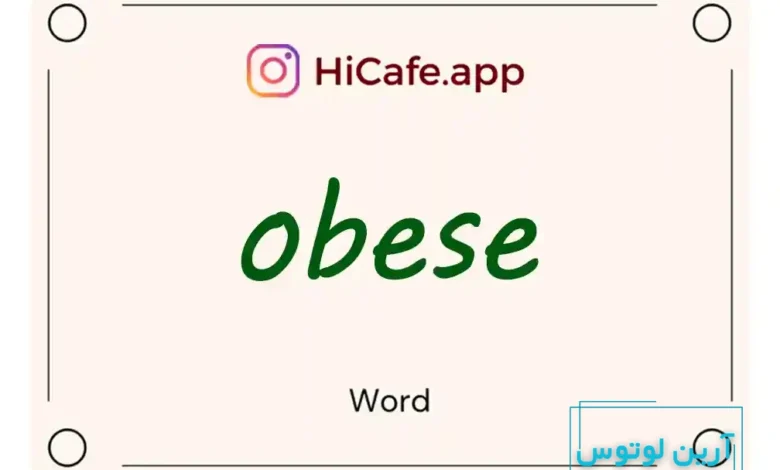 Meaning and usage of obese word