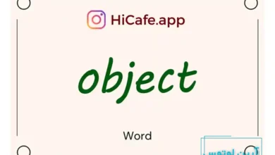 Meaning and usage of object word