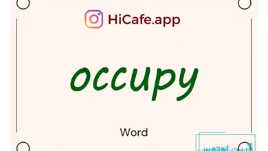 Meaning and usage of occupy word