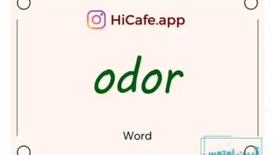 Meaning and usage of odor word