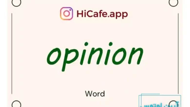 Meaning and usage of opinion word