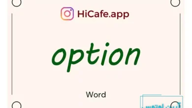 Meaning and usage of option word