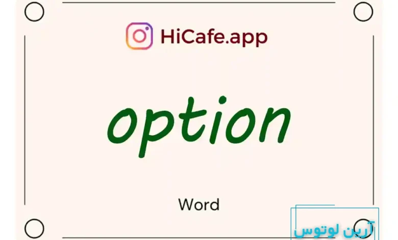 Meaning and usage of option word