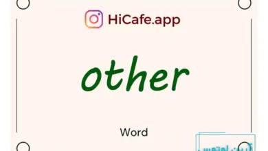 Meaning and usage of other word