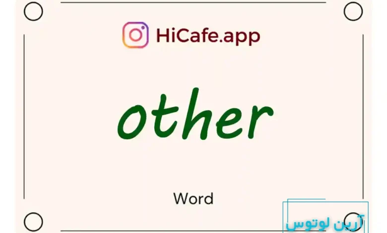 Meaning and usage of other word
