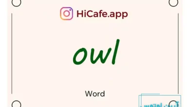 Meaning and usage of owl word