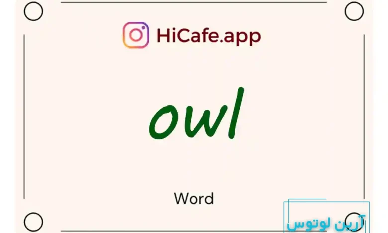 Meaning and usage of owl word