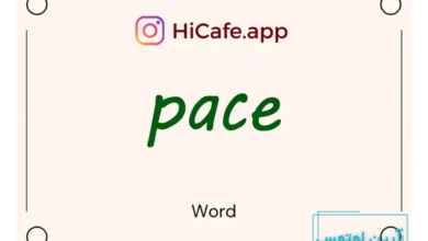Meaning and usage of pace word