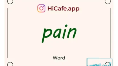 Meaning and usage of pain word