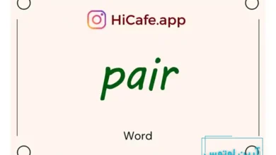 Meaning and usage of pair word