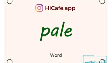 Meaning and usage of pale word