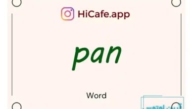 Meaning and usage of pan word