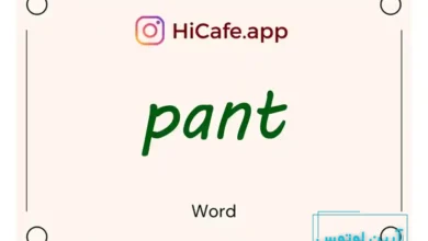 Meaning and usage of pant word