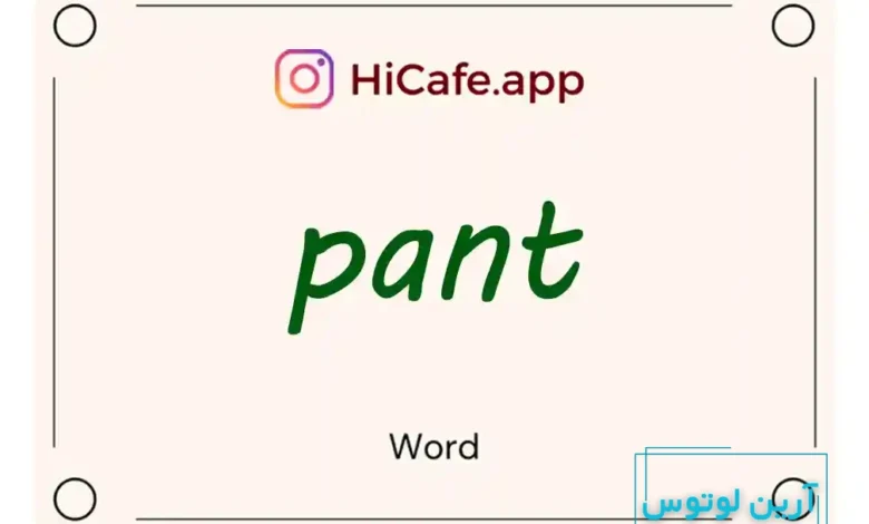 Meaning and usage of pant word