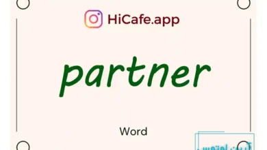 Meaning and usage of partner word