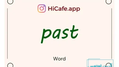 Meaning and usage of past word