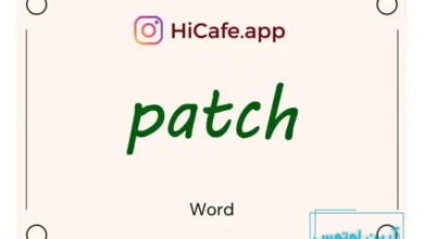 Meaning and usage of patch word