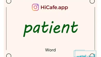 Meaning and usage of patient word