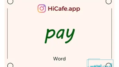 Meaning and usage of pay word