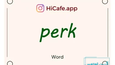 Meaning and usage of perk word