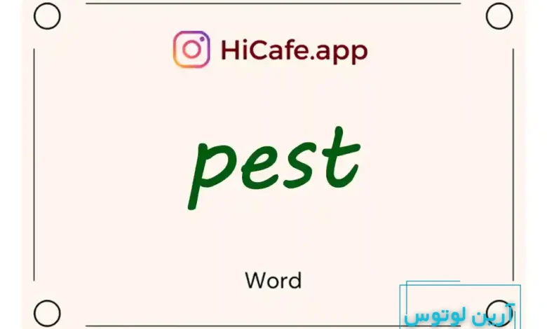 Meaning and usage of pest word