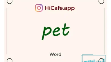 Meaning and usage of pet word