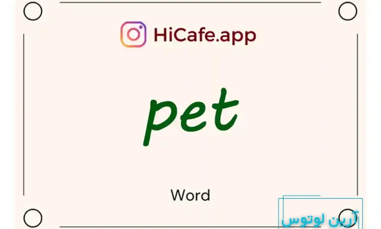 Meaning and usage of pet word