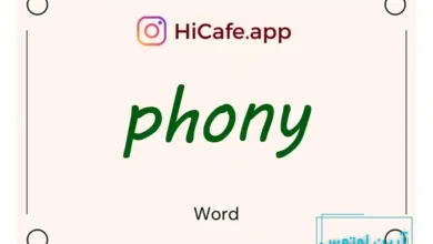 Meaning and usage of phony word