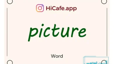 Meaning and usage of picture word