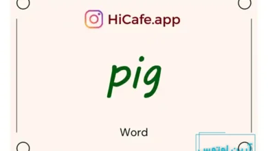 Meaning and usage of pig word
