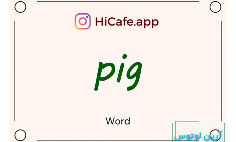 Meaning and usage of pig word