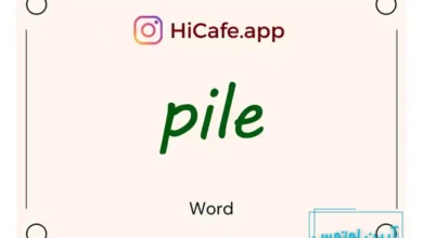 Meaning and usage of pile word