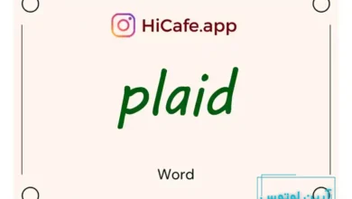 Meaning and usage of plaid word